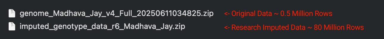 Two downloaded 23andMe ZIP files